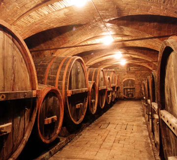 enogastronomia in puglia cantina vinicola