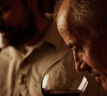 degustazione di vini in cantina e teatro